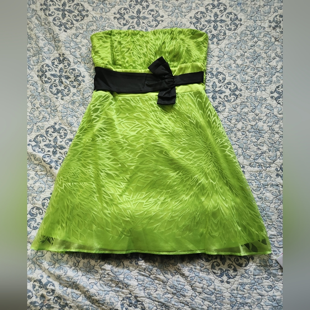 Green and black le chateau dress